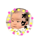 ひら丸（個別スタンプ：1）