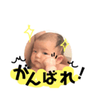 ひら丸（個別スタンプ：10）