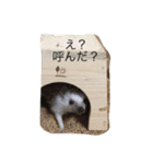 ロールくんの日常（個別スタンプ：2）