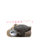 ロールくんの日常（個別スタンプ：11）
