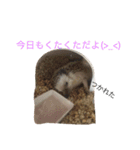 ロールくんの日常（個別スタンプ：14）