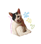 すずまるのスタンプ（個別スタンプ：3）