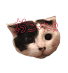 すずまるのスタンプ（個別スタンプ：10）