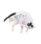 すずまるのスタンプ（個別スタンプ：16）
