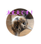 パトラとチョビ太（個別スタンプ：14）