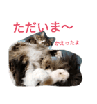 のんちゃんがいっぱい（個別スタンプ：7）