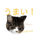 のんちゃんがいっぱい（個別スタンプ：16）