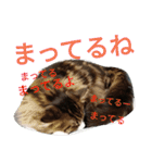 のんちゃんがいっぱい（個別スタンプ：20）