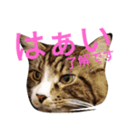 のんちゃんがいっぱい（個別スタンプ：23）