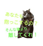 のんちゃんがいっぱい（個別スタンプ：28）