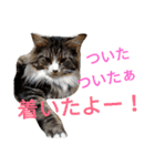 のんちゃんがいっぱい（個別スタンプ：32）