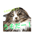 のんちゃんがいっぱい（個別スタンプ：35）