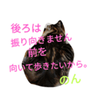 のんちゃんがいっぱい（個別スタンプ：38）