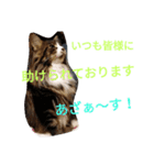 のんちゃんがいっぱい（個別スタンプ：40）