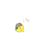 Rippi Chick（個別スタンプ：12）