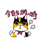 みけねこヒカちゃん パート2（個別スタンプ：1）