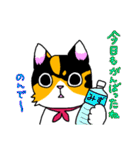 みけねこヒカちゃん パート2（個別スタンプ：4）