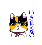 みけねこヒカちゃん パート2（個別スタンプ：6）