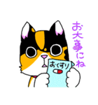 みけねこヒカちゃん パート2（個別スタンプ：19）