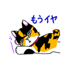 みけねこヒカちゃん パート2（個別スタンプ：26）