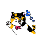みけねこヒカちゃん パート2（個別スタンプ：31）