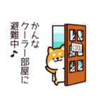 柴犬かんなの夏（個別スタンプ：33）