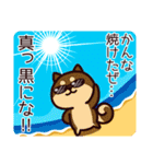 柴犬かんなの夏（個別スタンプ：38）