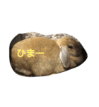 うさぎのぷーちゃん2（個別スタンプ：2）