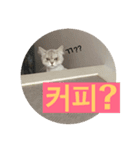 悪猫ニャンアチ#2（個別スタンプ：2）