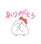 にわとり父さんとひよことたまごブラザーズ（個別スタンプ：17）