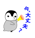 日常会話で話すペンギンの赤ちゃん（個別スタンプ：35）