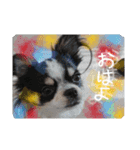 よく使うこたろう（個別スタンプ：8）