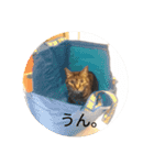 みつことたま（個別スタンプ：3）