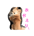 のこに癒されて…（個別スタンプ：2）