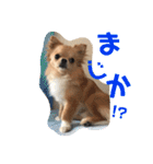 のこに癒されて…（個別スタンプ：3）