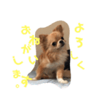 のこに癒されて…（個別スタンプ：6）