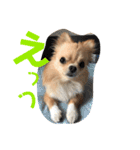 のこに癒されて…（個別スタンプ：11）