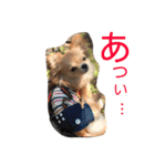 のこに癒されて…（個別スタンプ：14）