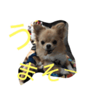 のこに癒されて…（個別スタンプ：16）