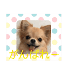 のこに癒されて…（個別スタンプ：20）