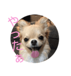 のこに癒されて…（個別スタンプ：22）