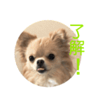 のこに癒されて…（個別スタンプ：23）
