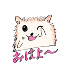 エレキベース×ポメラニアンのスタンプ（個別スタンプ：13）