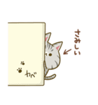 A型にゃんこ（個別スタンプ：20）