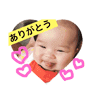 彩心どん（個別スタンプ：1）