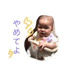 彩心どん（個別スタンプ：11）