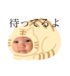 彩心どん（個別スタンプ：16）