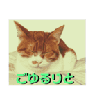 むぎとおはぎのキモチ（個別スタンプ：5）