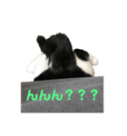 むぎとおはぎのキモチ（個別スタンプ：10）