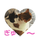 むぎとおはぎのキモチ（個別スタンプ：11）